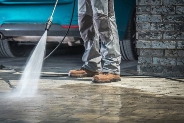 Best Animal Enclosure Cleaning  in Cave Junction, OR